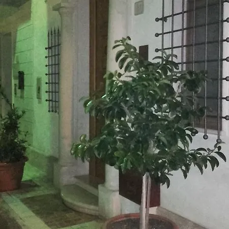 Alojamento de Acomodação e Pequeno-almoço Casa Dilillo 3*